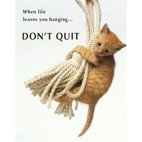 Don't Quit Cute Cat Kitten Animal Motivational Poster 16 x 20 inches - Walmart.com - Walmart.com