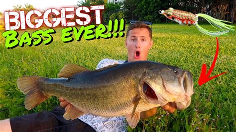 Catching MASSIVE BASS on Topwater Frogs! *PB BASS* - YouTube