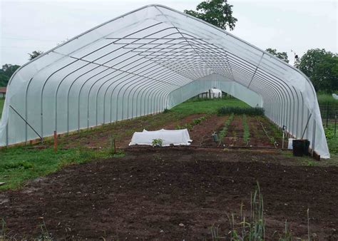 Whitmore Farm: HOOP house heaven! (or why cold greenhouses are COOL!)