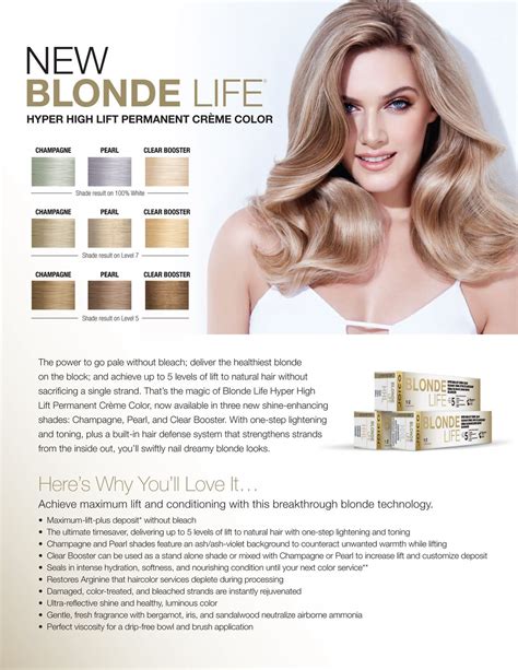 Joico Blonde Life Hyper High Lift Color Sheet