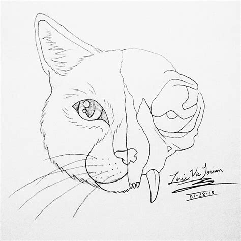 Cat Skeleton Drawing at GetDrawings | Free download