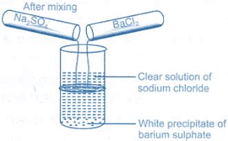 AIMTo perform and observe the reaction between sodium sulphate and barium chloride