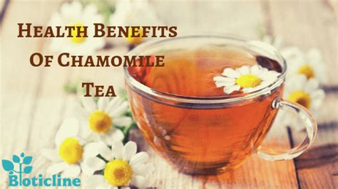 Do you know the health benefits of chamomile tea? Chamomile is also ...