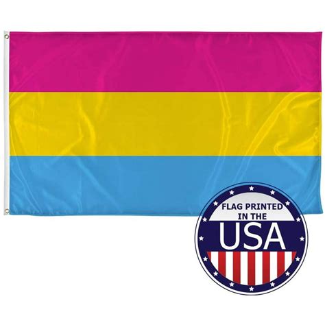 Pansexual Pride Flag 3ft x 5ft Polyester Flag, Durable Gay Pride Flag Made with Vibrant Colors ...