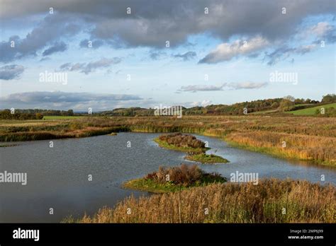 North Cave Wetlands, East Yorkshire, England UK Stock Photo - Alamy