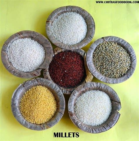 Millet - Types Of Millets, Health Benefits, Glossary(Kambu, Thinai ...