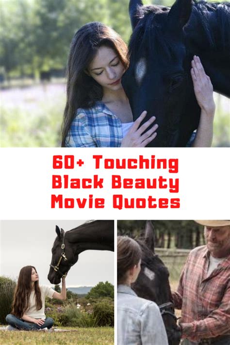 60+ Touching Disney Plus BLACK BEAUTY Movie Quotes - Guide For Geek Moms