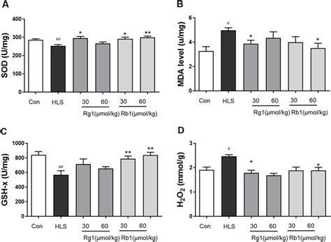 Frontiers | Protective effects of ginsenosides Rg1 and Rb1 against cognitive impairment induced ...