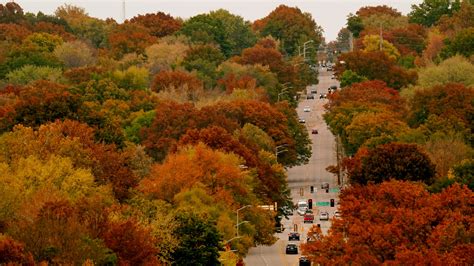 Where to see fall colors in the Kansas City area 2023