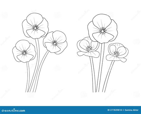 Poppy Drawing, Poppy Drawing Black And White, Realistic Poppy Flower ...