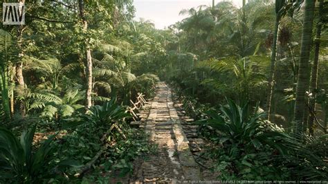 Tropical Rainforest Biome Trees