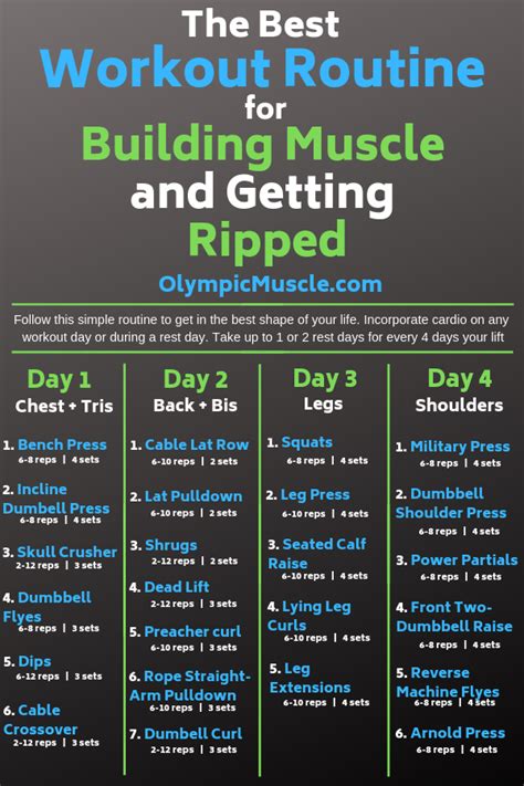 Pin on Olympic Muscle Blog Posts