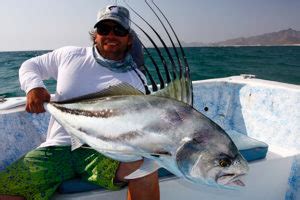 Species spotlight: Roosterfish - Tail Fly Fishing Magazine