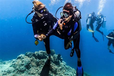 2023 Discover Scuba Diving in Tulamben - Diving Initiation in Bali best ...