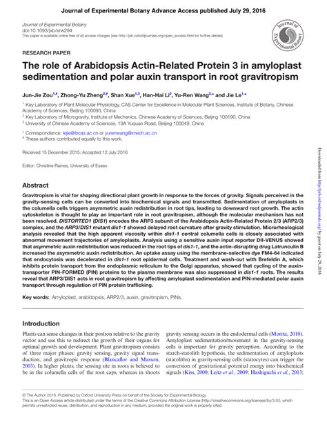 (PDF) The role of Arabidopsis Actin-Related Protein 3 in amyloplast sedimentation and polar ...