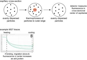 MST Guidelines | Center for Structural Biology | Vanderbilt University