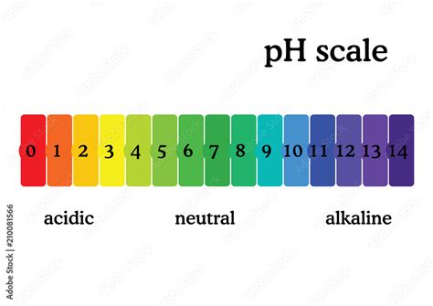 pH scale diagram with corresponding acidic or alcaline values. Universal pH indicator paper ...