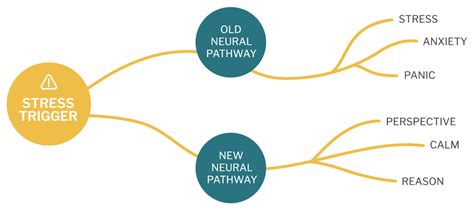 neural-pathways-4 - Current Meditation