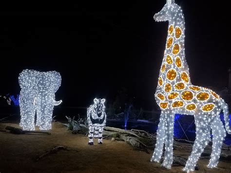 Dallas Zoo Lights Now a Drive-Through | Natural Awakenings Dallas -Fort ...