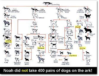 Dr. Kent Hovind's Creation Seminar 3: Dinosaurs and the Bible, part a ...