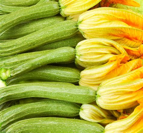 Stuffed Courgette Flowers - Amandine