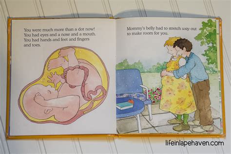 Our Favorite Children's Book About Pregnancy & Babies - Life in Lape Haven