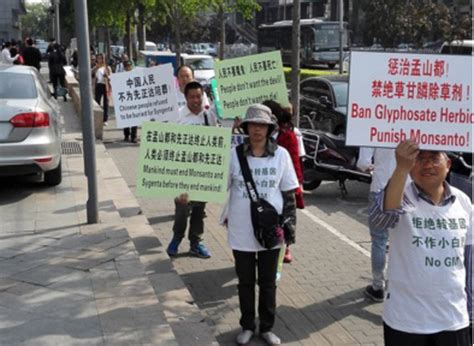 GRAIN | Photo essay: Demonstrators in Beijing protest acquisition of Syngenta in front of ...