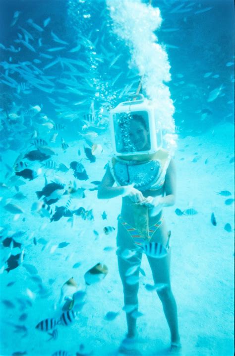 Snorkeling in Bora Bora! | Luxury travel, Snorkeling, Travel