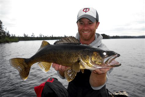 Walleye Fishing Tips: How to Fish for and Catch Walleye