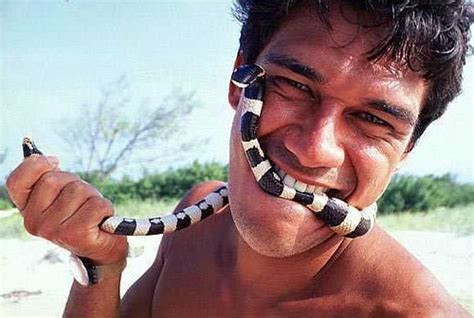 Banded sea krait, coral snake bit | Fiji, snake bit, (Latica… | Flickr