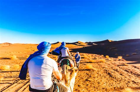 Sahara Camel Ride and Picnic, Zagora, M’hamid - Kated