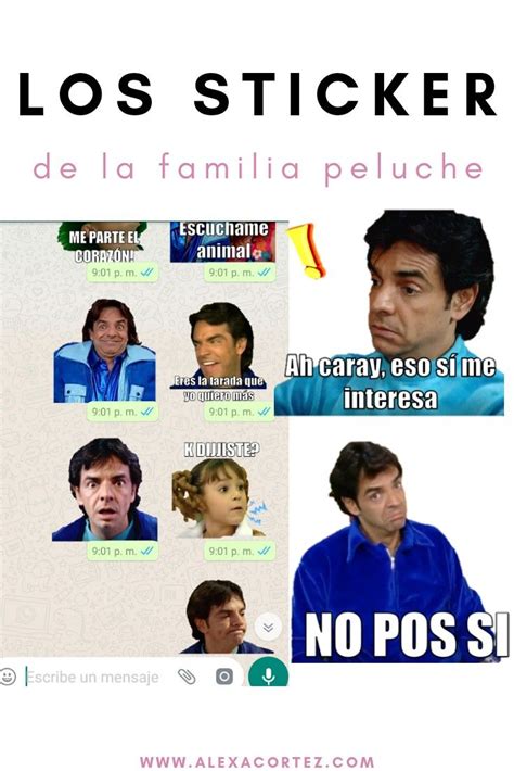 Los sticker para whatsapp de la familia peluche (con imágenes) | Familia peluche, Memes familia ...