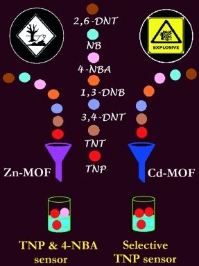 Recognition of an Explosive and Mutagenic Water Pollutant, 2,4,6‐Trinitrophenol, by Cost ...