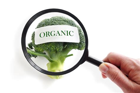 Is organic food a better choice? - Thinking Nutrition