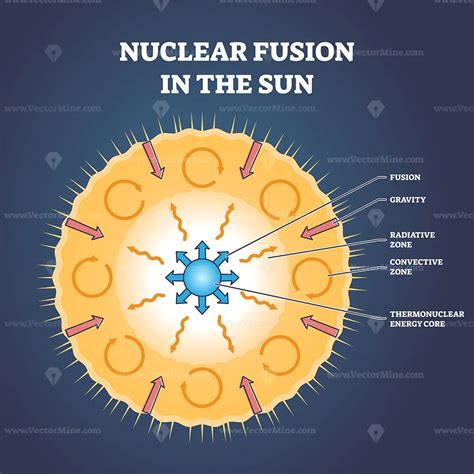 Nuclear fusion in the sun and star structure with zones outline diagram - VectorMine