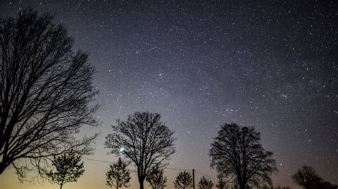 Meteor shower: Lyrids to peak this weekend | CTV News