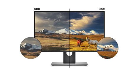 Buyer Beware: Dell U2518D HDR Monitor Has Fake HDR | Custom PC Review