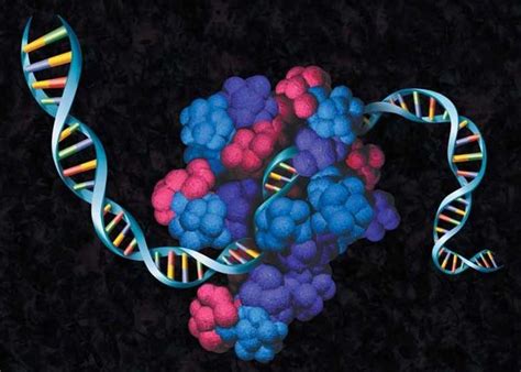 Protein Expression Guide I An Introduction to Protein Expression Methods | Promega