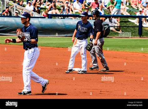 Tampa bay rays hi-res stock photography and images - Alamy