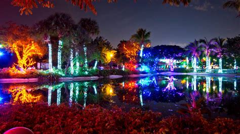 Zoo Lights to brighten holiday in Miami Florida | Miami Herald