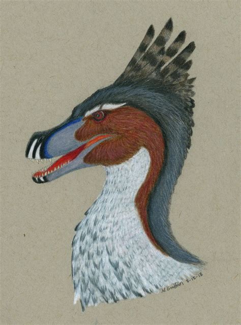 Acheroraptor Portrait by MsMergus | Prehistoric creatures, Prehistoric animals, Dinosaur art