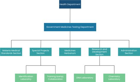 Health Department Organization Chart | Visual Paradigm Community