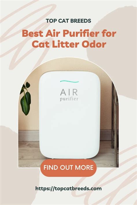 Best Air Purifier for Cat Litter Odor - Top Cat Breeds