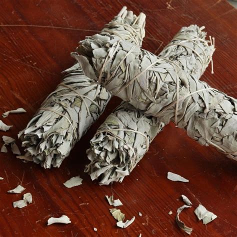 White Sage Smudge Stick Large | Etsy