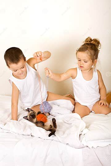 Kids Playing with Their Kitten on the Bed Stock Photo - Image of child, home: 9132592