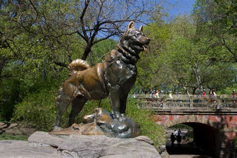 Balto Statue in Central Park