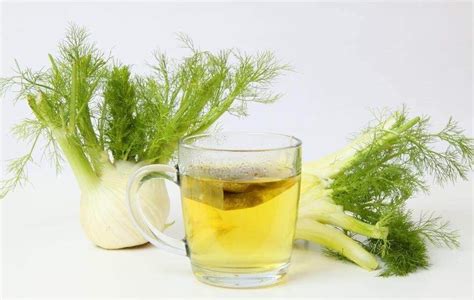 Three Fennel Tea Recipes for Weight Loss - Step To Health