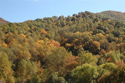 These 10 North Carolina Mountain Cabins Are Worth Their Remote Scenic Views