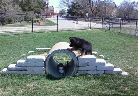 Tunnel … | Dog playground, Dog yard, Dog backyard