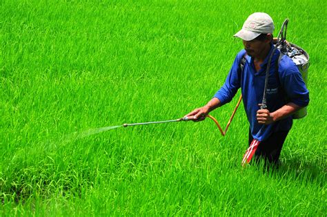 Mengenal Berbagai Macam Biopestisida Yang Ramah Lingkungan Agrozine - Riset